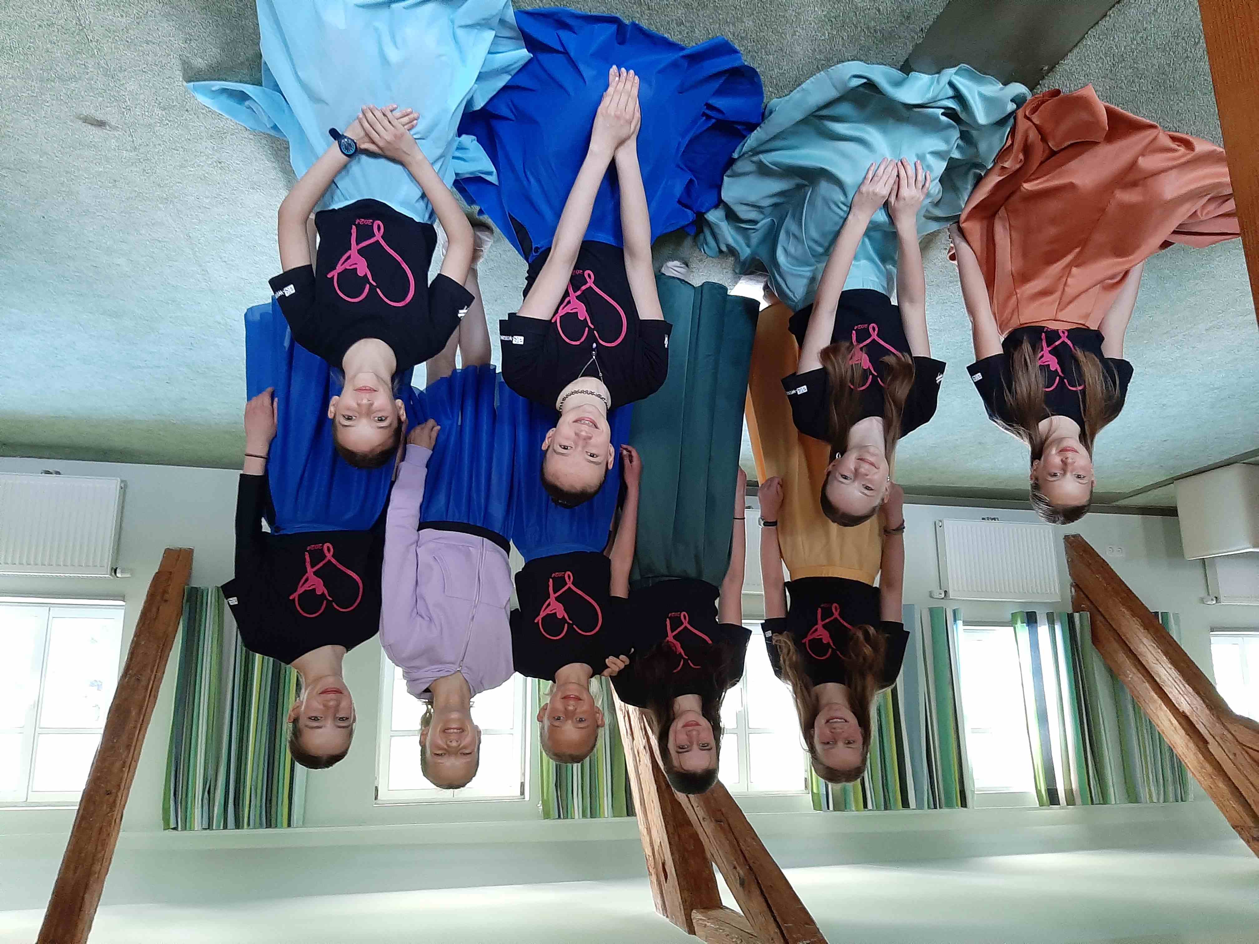 Tanzensemble der Musikschule Sächsische Schweiz e.V.